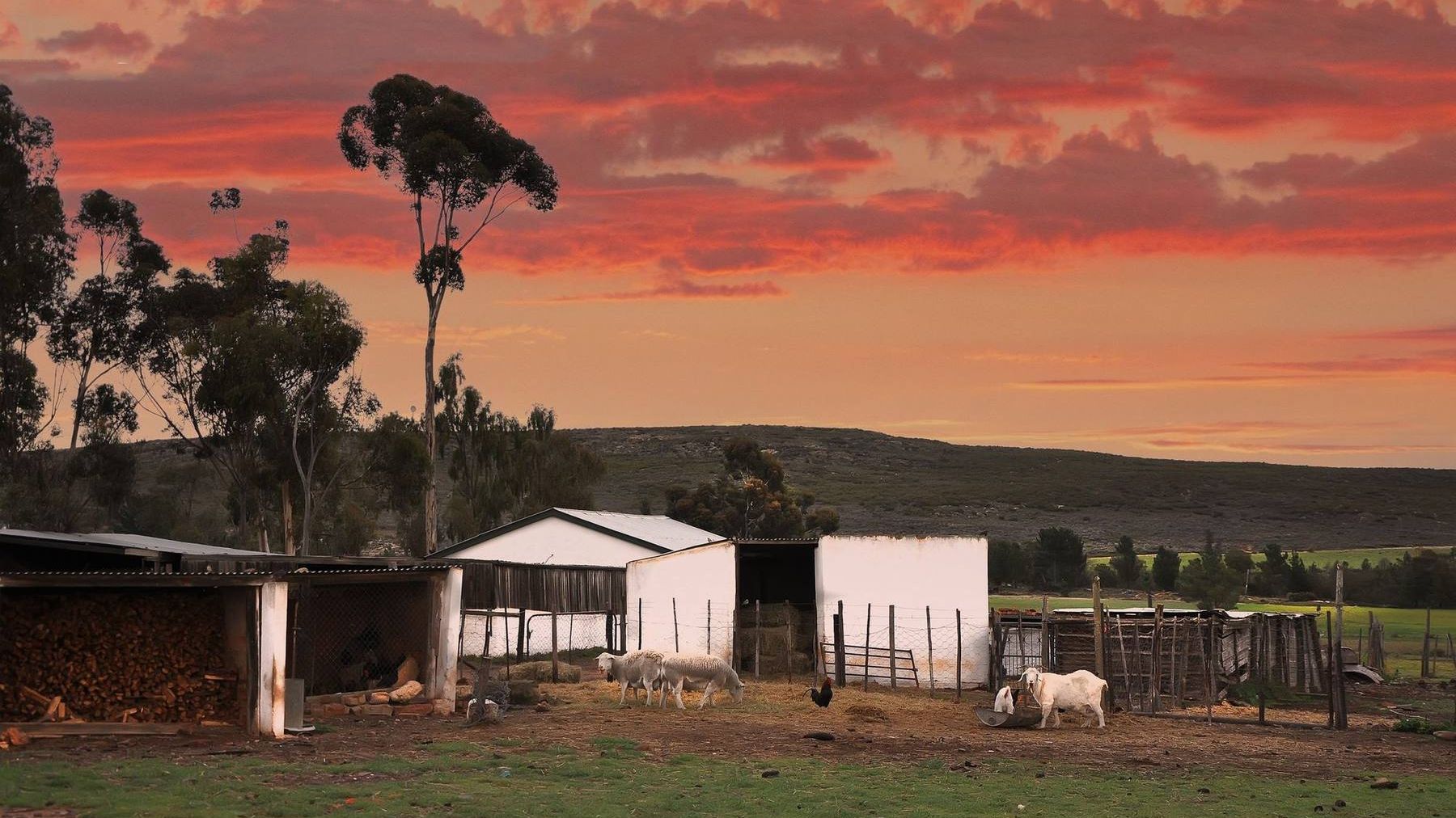 The farmhouse at sunset